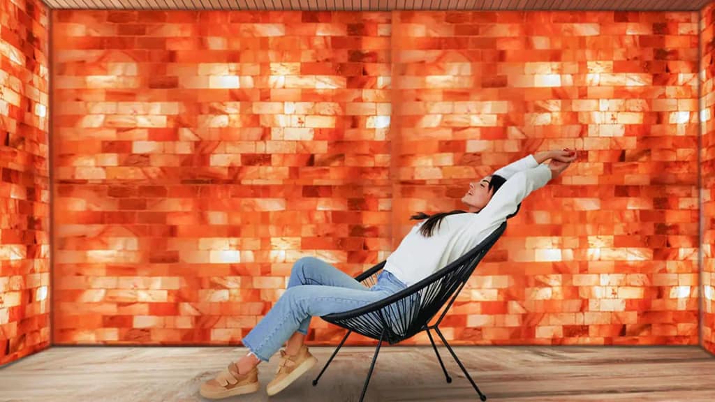 Himalayan Salt Bricks for Wellness & Construction: Crude Salt’s Export Expertise